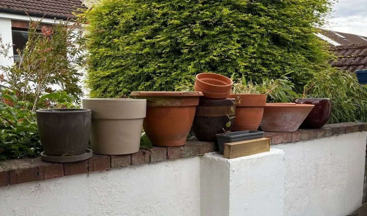 Selection of Flower Pots - Image 3
