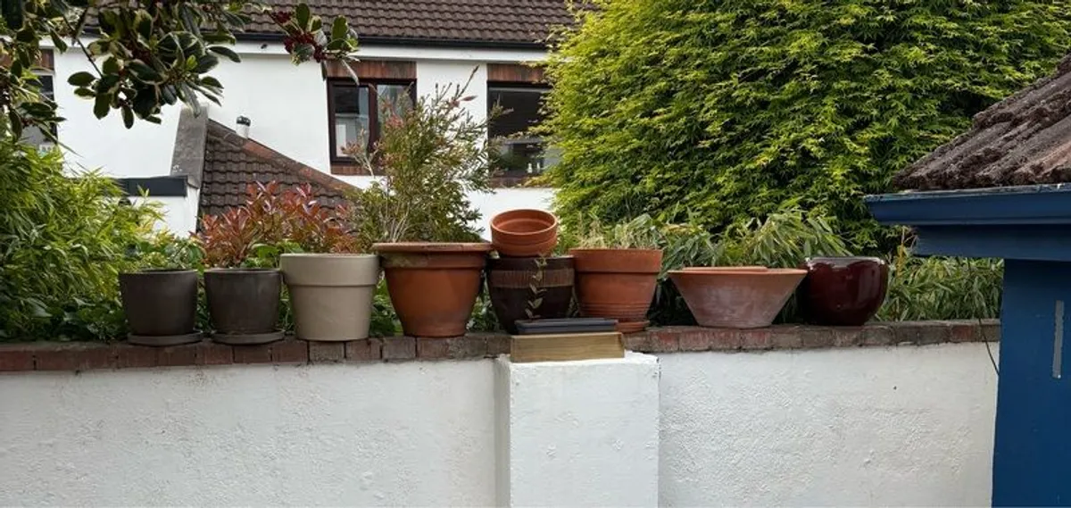 Selection of Flower Pots - Image 4
