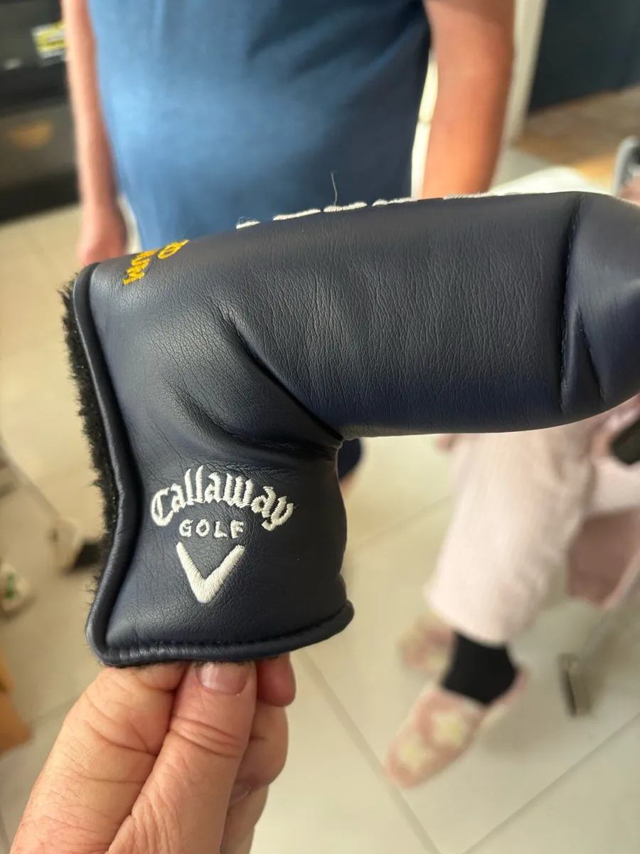 Golf Putter - Image 1