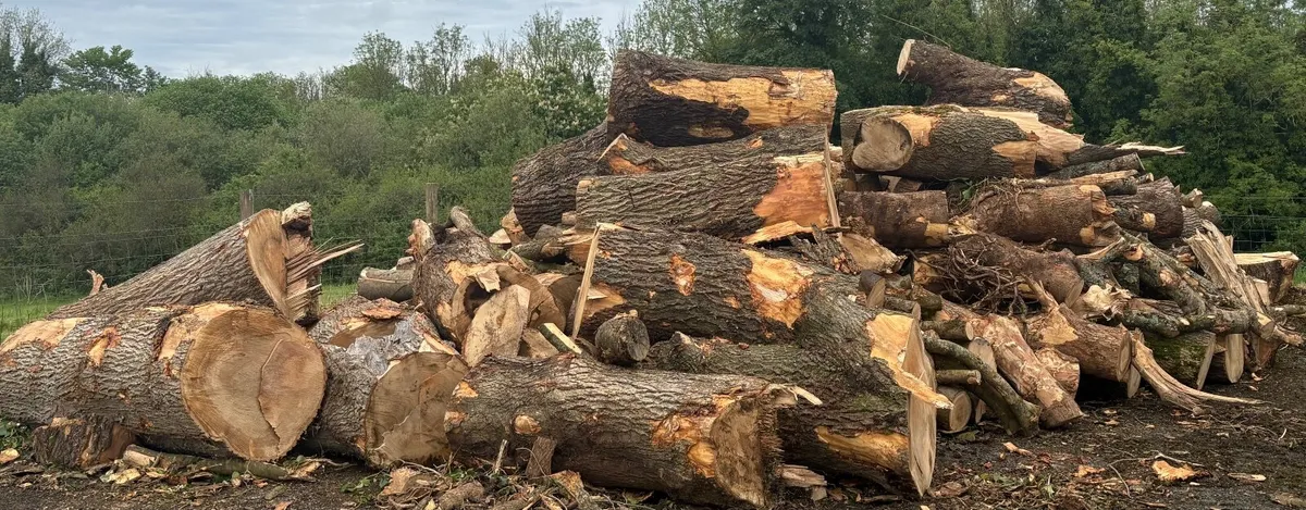 Firewood 34 tonne - Image 1