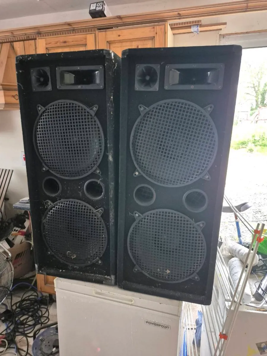 Double  12 inch  malone  speakers - Image 1