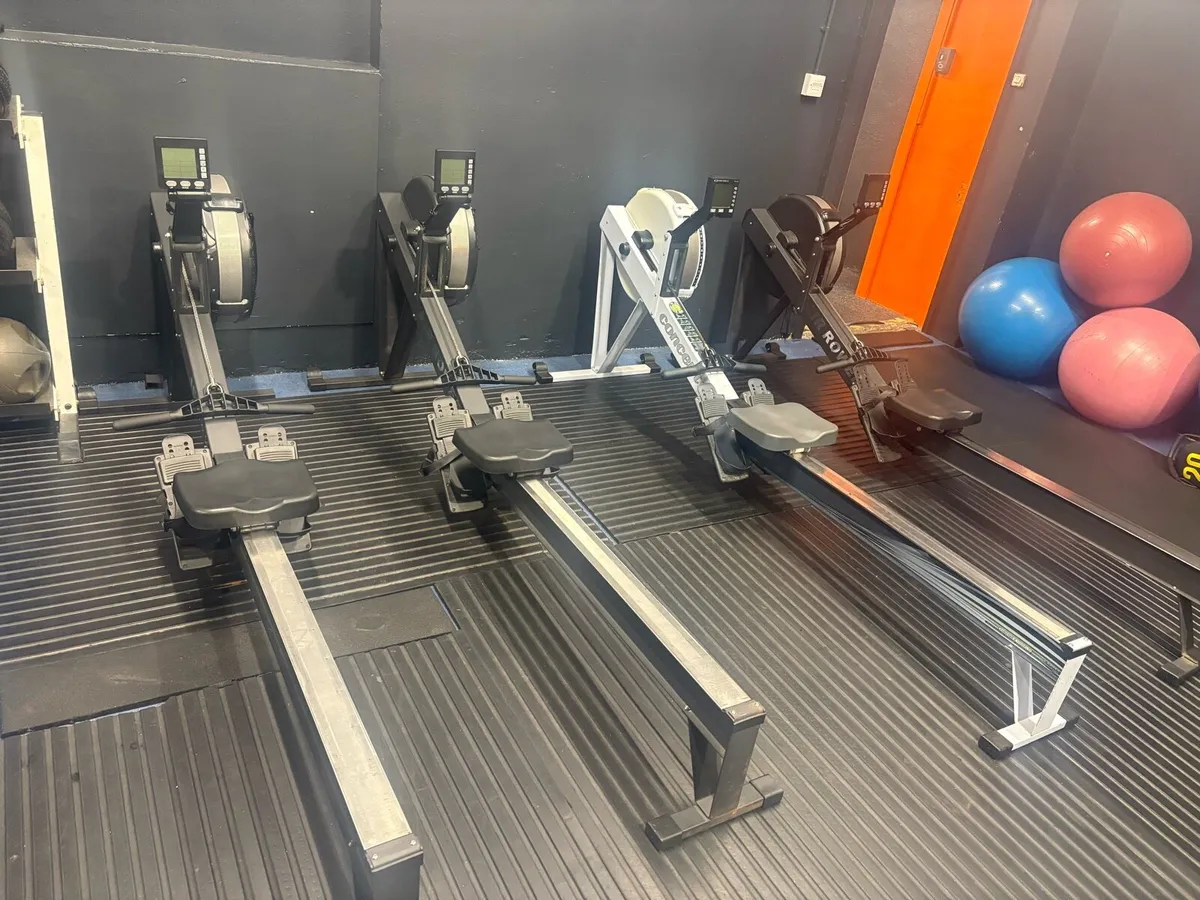 Rower - Image 1