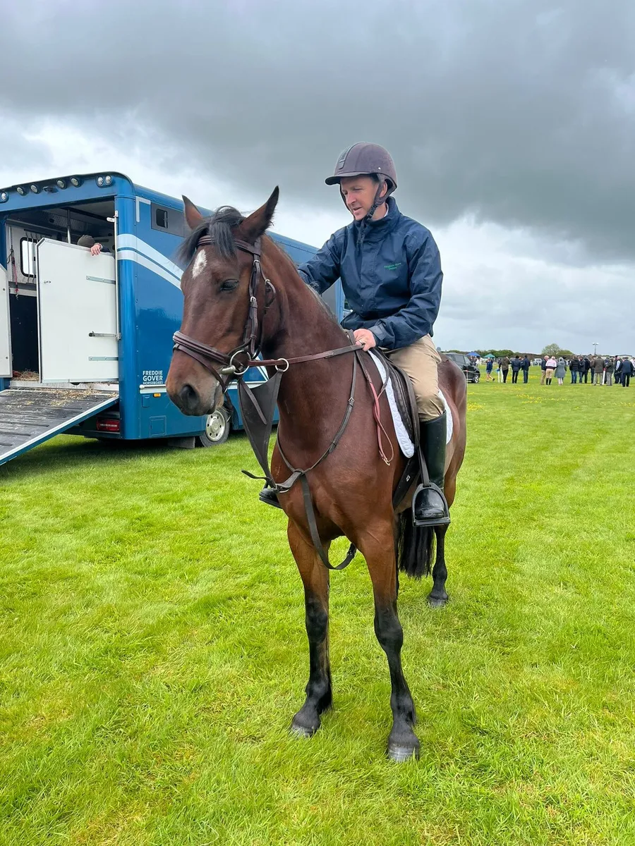 4 yr old 14.3 connie mare - Image 1