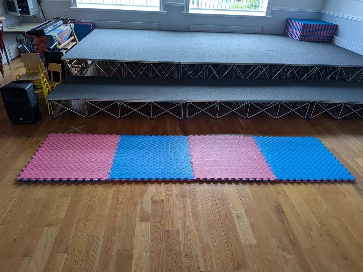 NEW Jigsaw Tatami Matts (sized to fit in cars) - Image 3