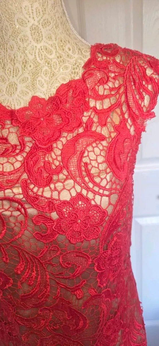 Libra Coral Lace Bodycon Midi Dress Size 12 Weddin - Image 2