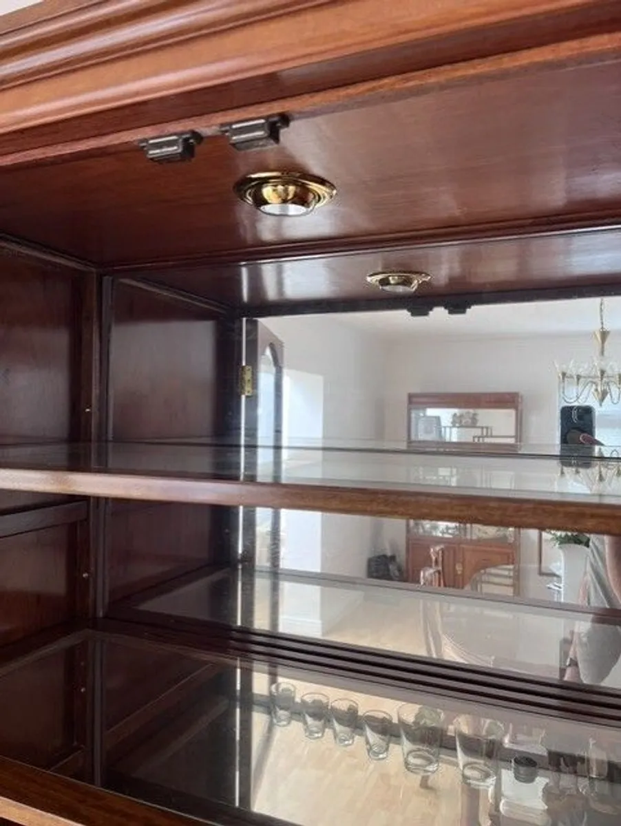 Solid Rosewood Display & Storage Cabinet - Image 4