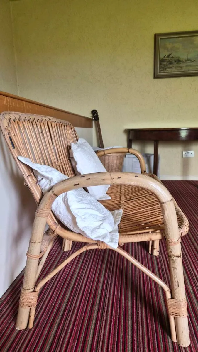Cane two seater sofa - Image 4