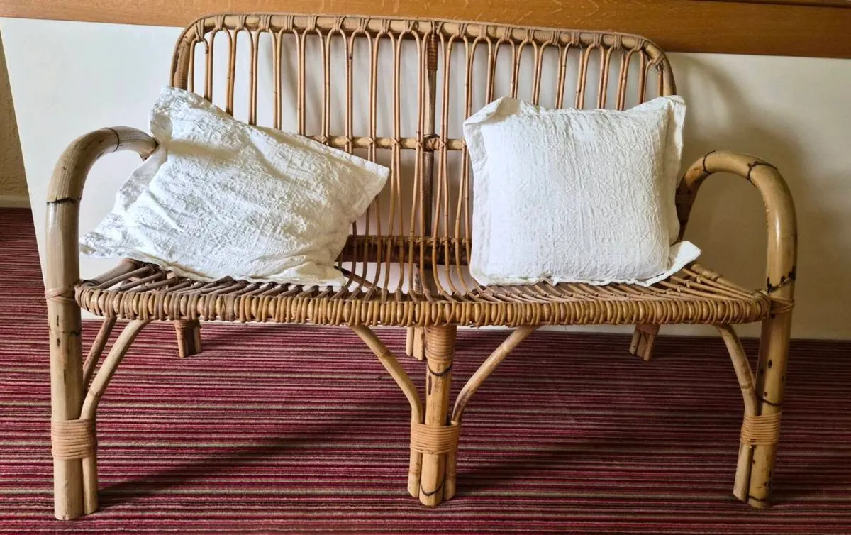 Cane two seater sofa - Image 3
