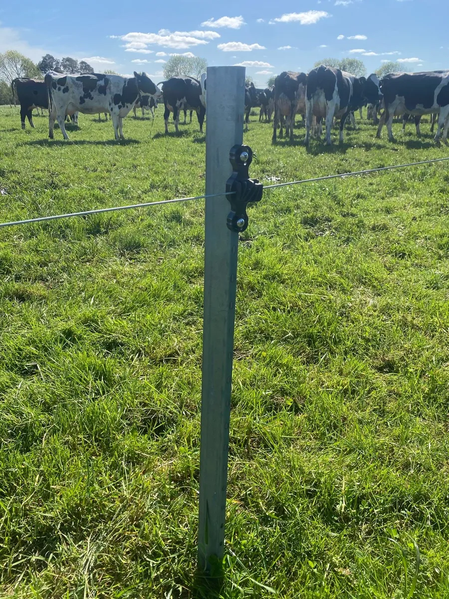 Steel fencing posts - Image 1
