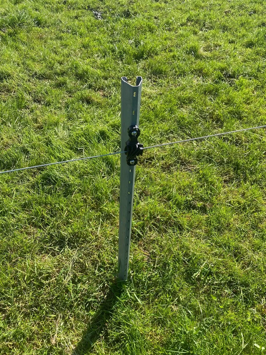 Steel fencing posts - Image 2