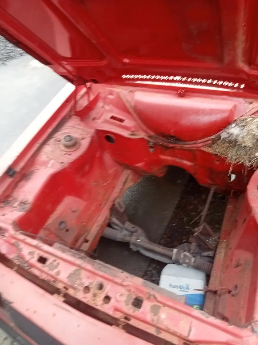 Car - Image 3