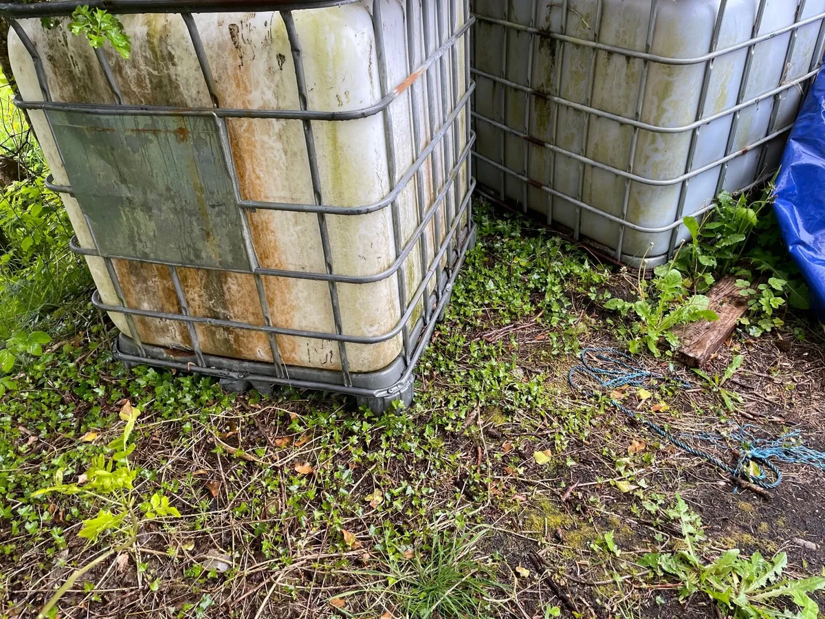 IBC Tanks - Image 2