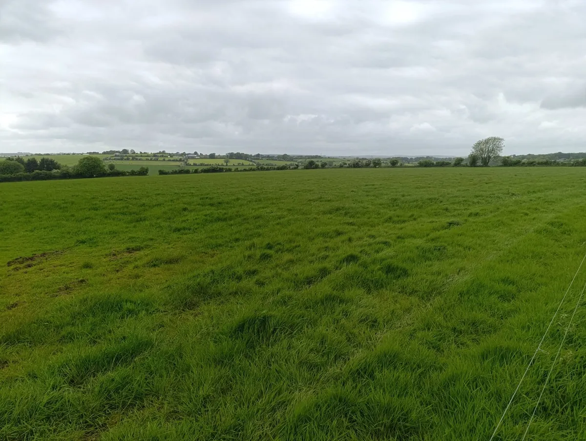 Silage - Image 1