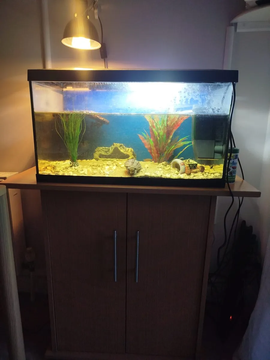 Fishing tank 50 l - Image 1