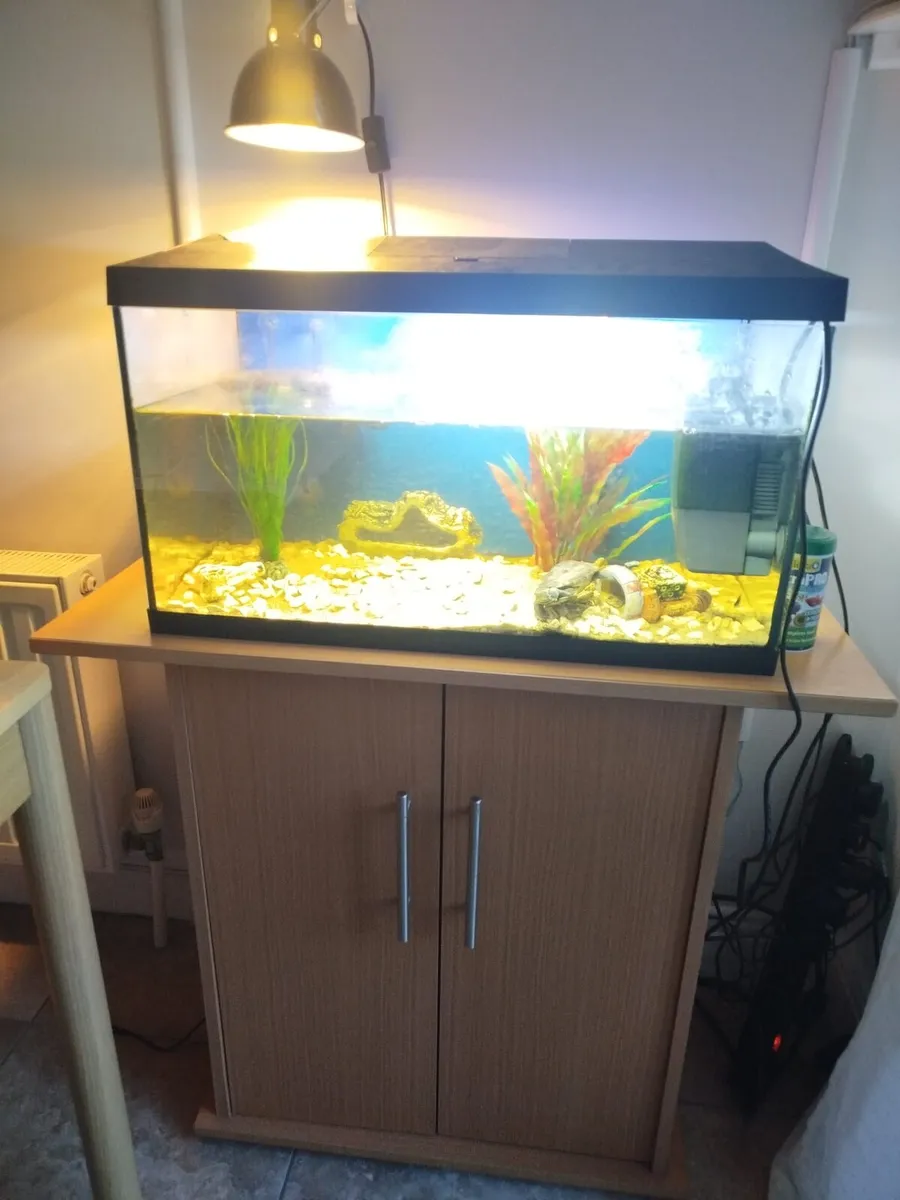 Fishing tank 50 l - Image 2