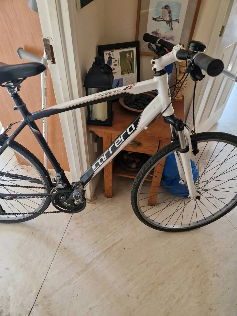 Bike adult bike mans - Image 1