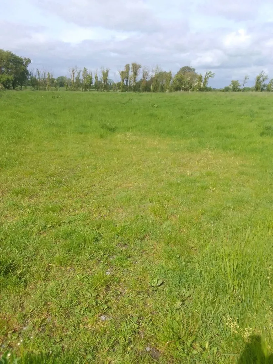 Meadow for sale