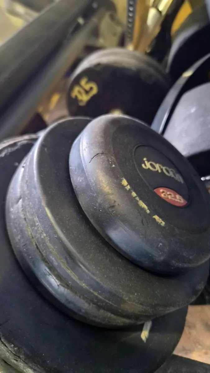 JORDAN 32.5KG DUMBBELLS - Image 2