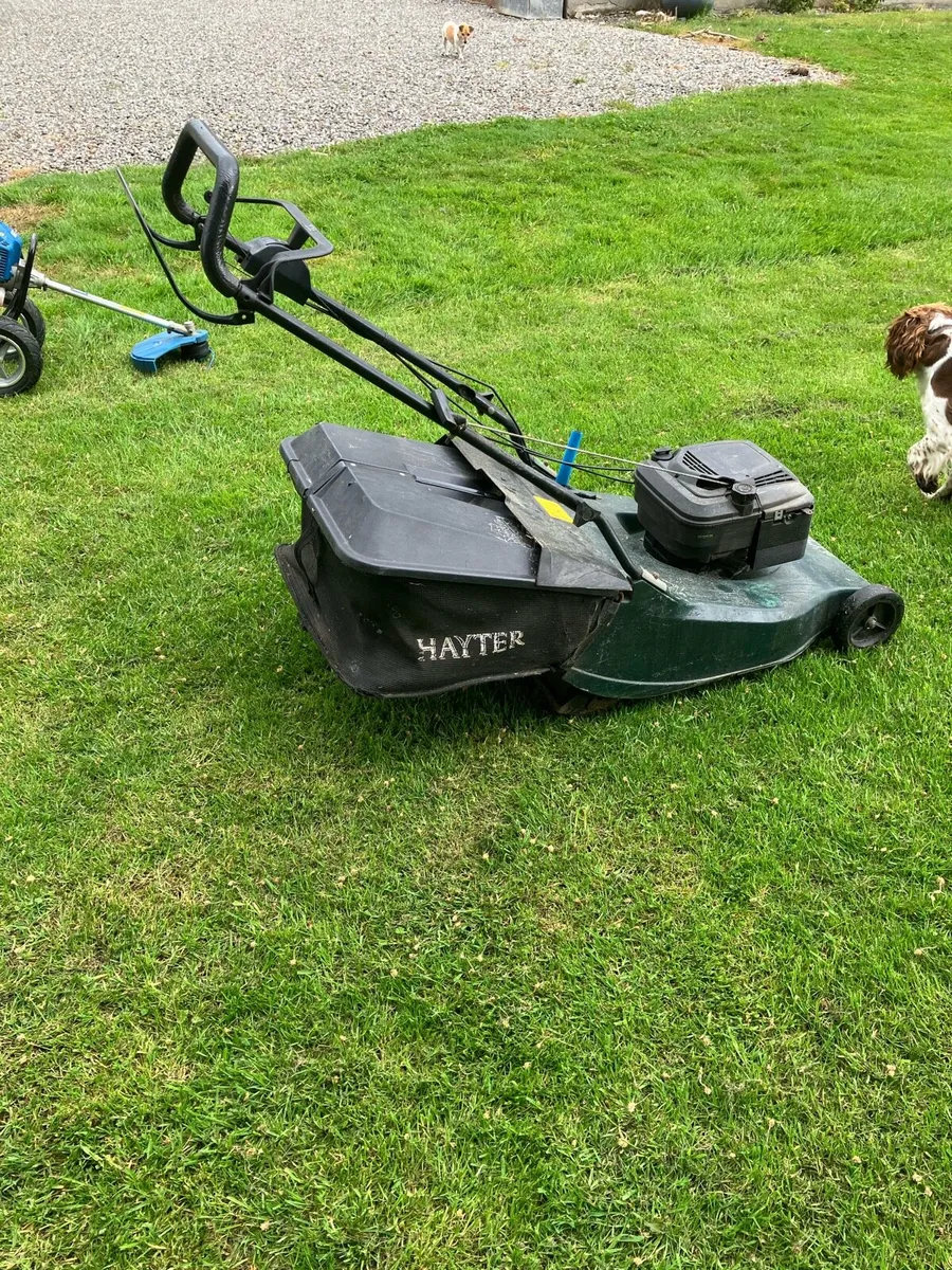 Lawnmower - Image 1