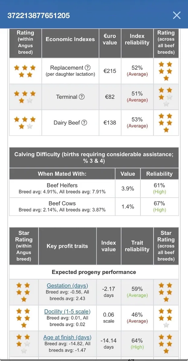 5* AA Bulls - Image 3