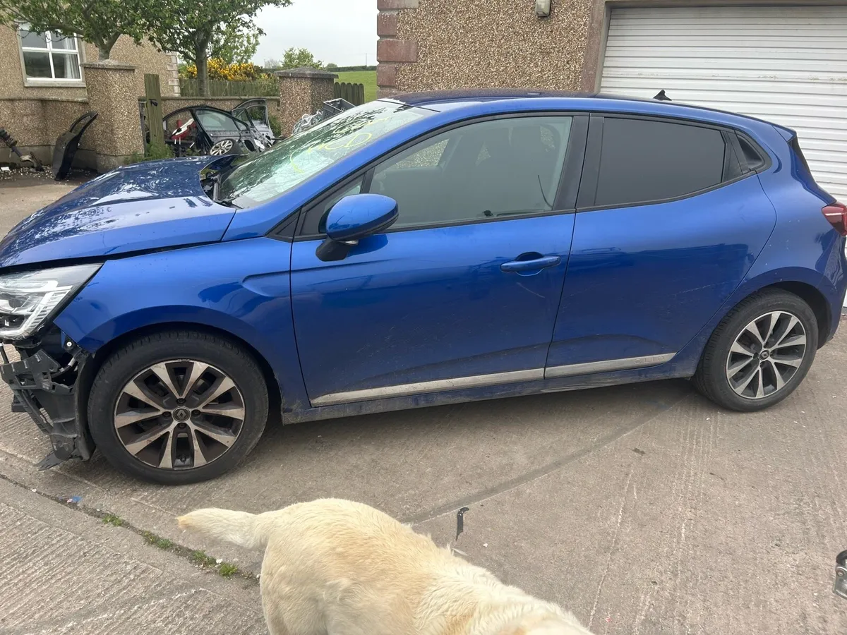 Clio - Image 2