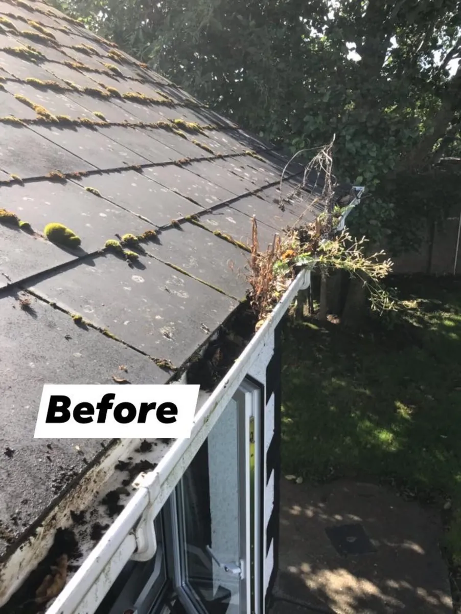 Gutter Cleaning - Image 1