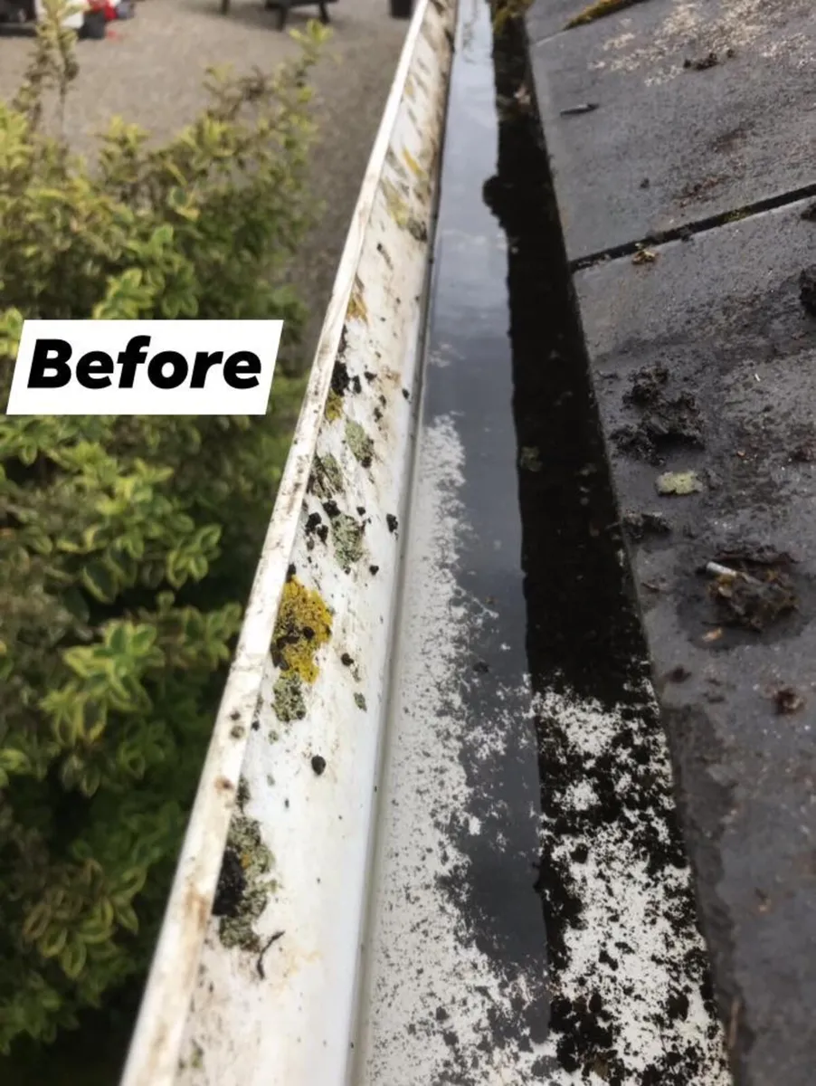 Gutter Cleaning - Image 2