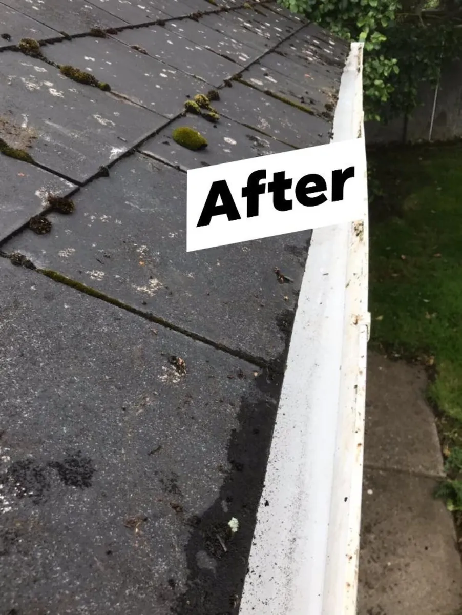 Gutter Cleaning - Image 3