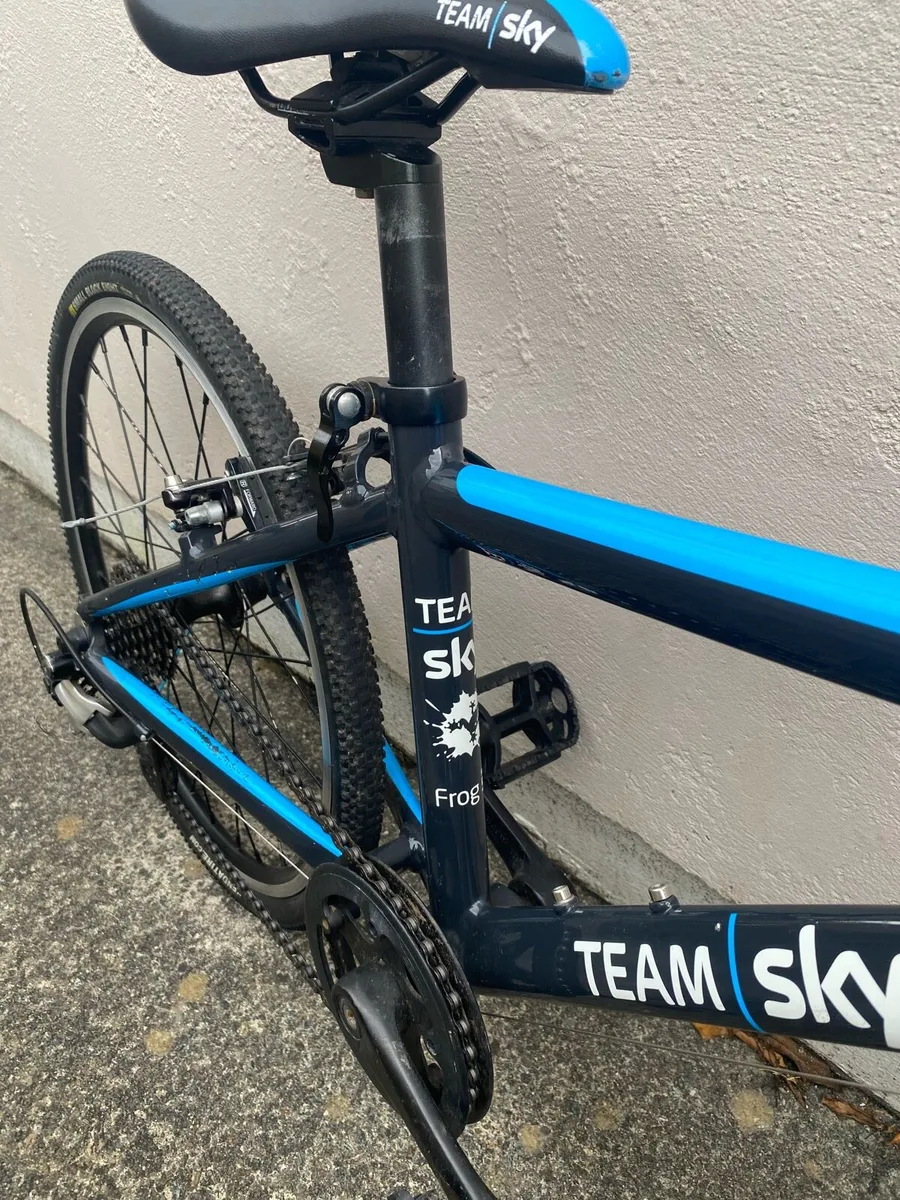 Kids 9spd Team Sky Edition Frog Racing Bike - Image 2