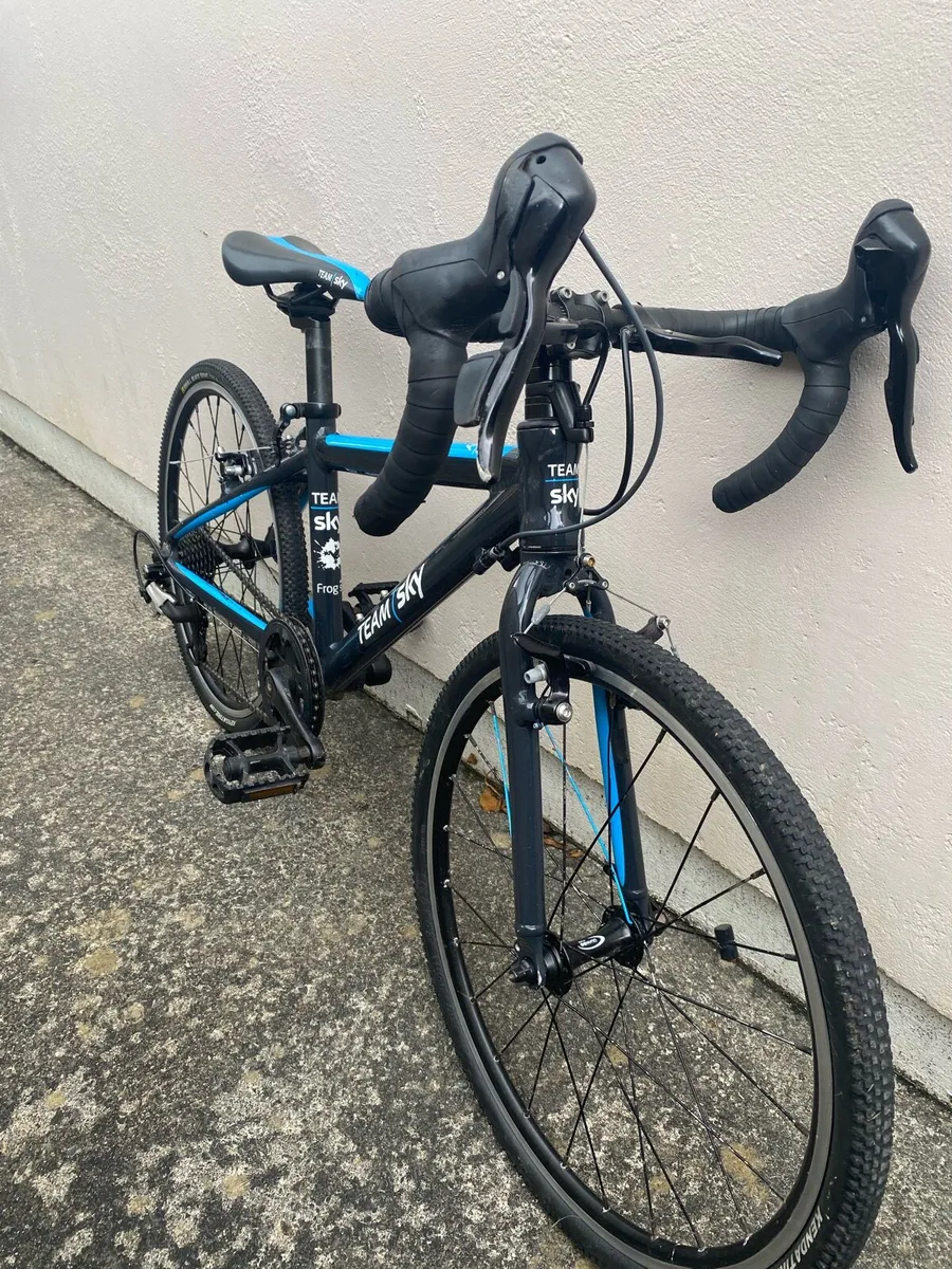 Kids 9spd Team Sky Edition Frog Racing Bike - Image 3