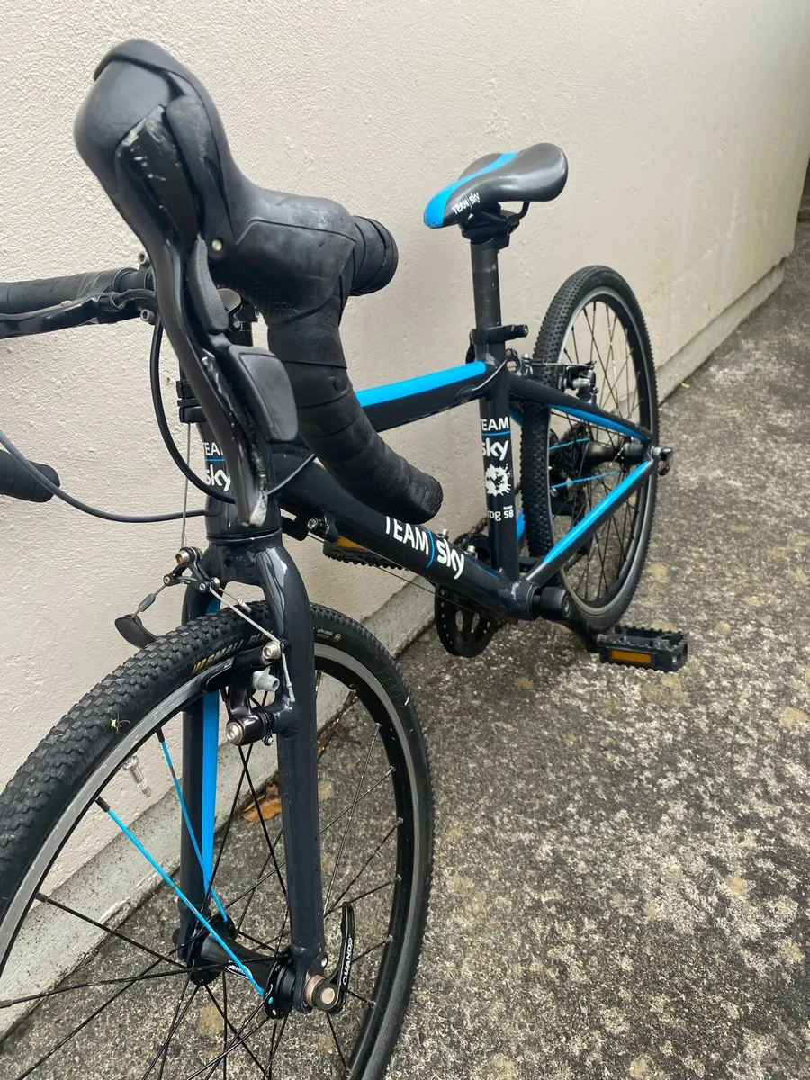 Kids 9spd Team Sky Edition Frog Racing Bike - Image 4