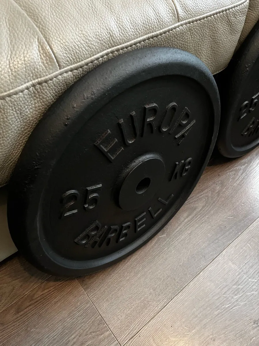 2x25kg vintage standard 1” diameter weights - Image 2