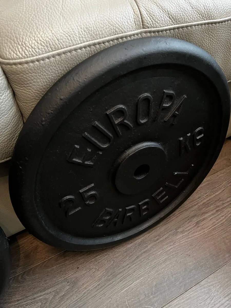2x25kg vintage standard 1” diameter weights - Image 3