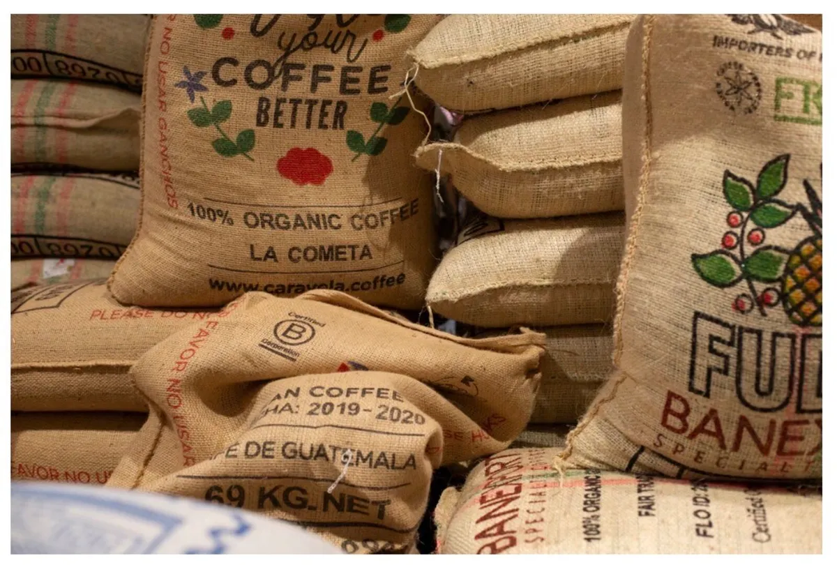 Extra large Coffee - Bean bags - Image 3