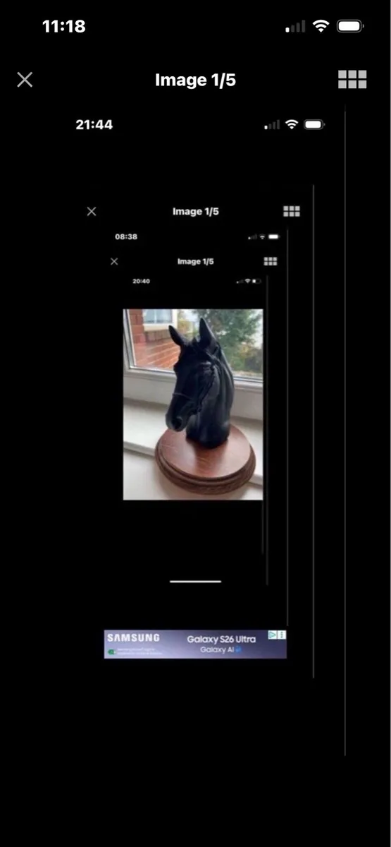Vintage  Horse Head Display - Image 2