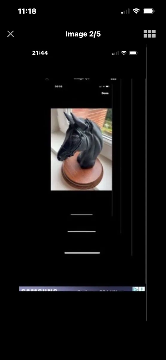 Vintage  Horse Head Display - Image 3