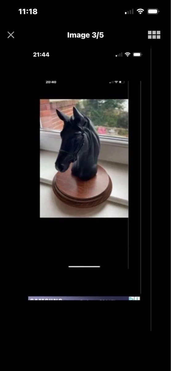 Vintage  Horse Head Display - Image 4
