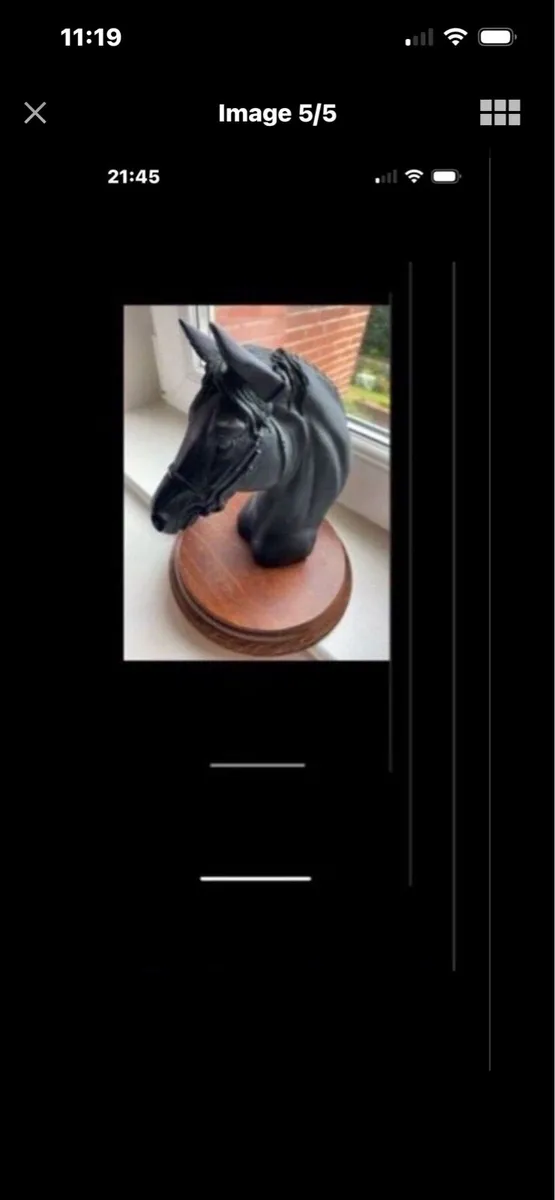 Vintage  Horse Head Display - Image 1