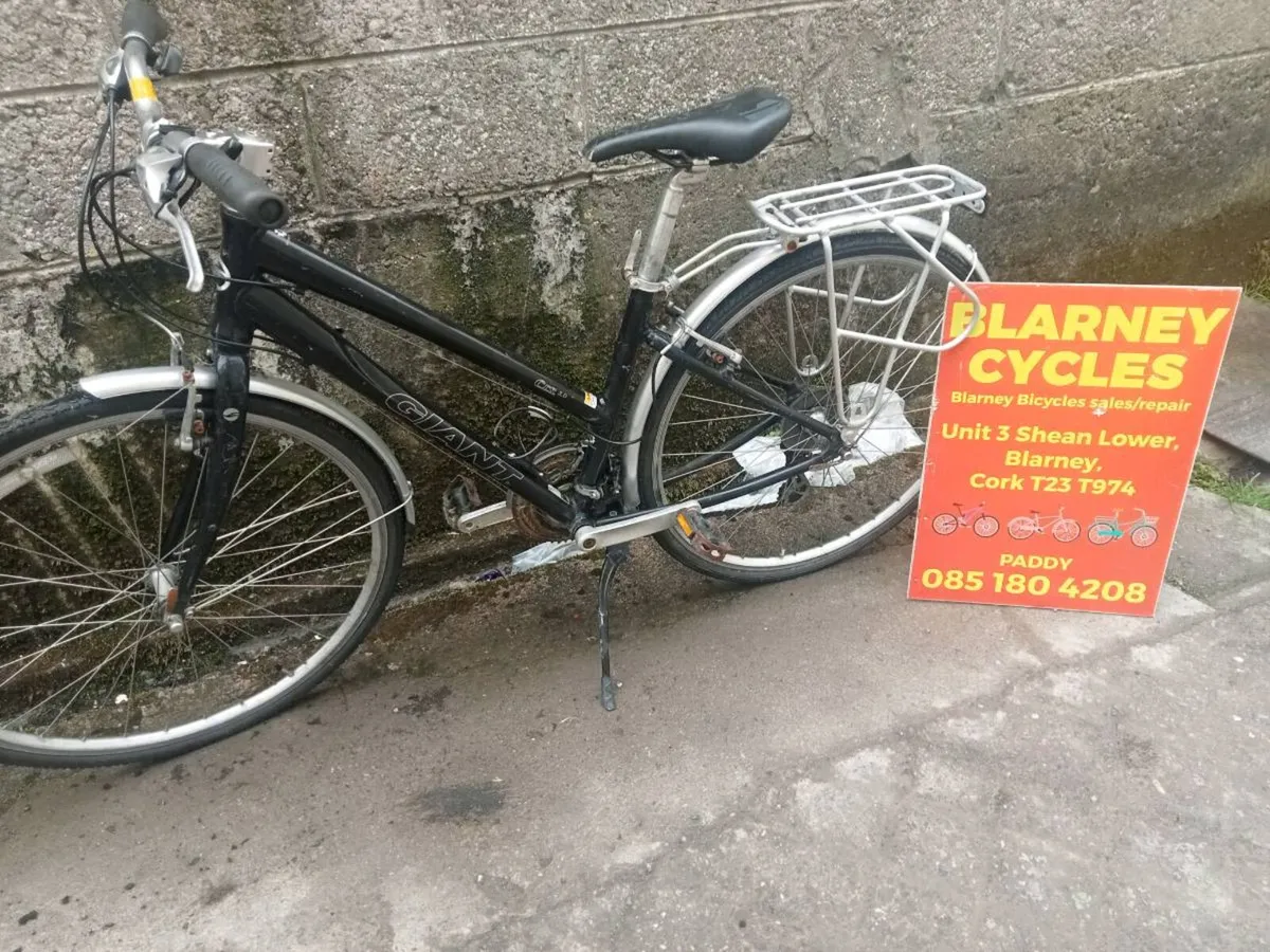 Bikes - Image 4