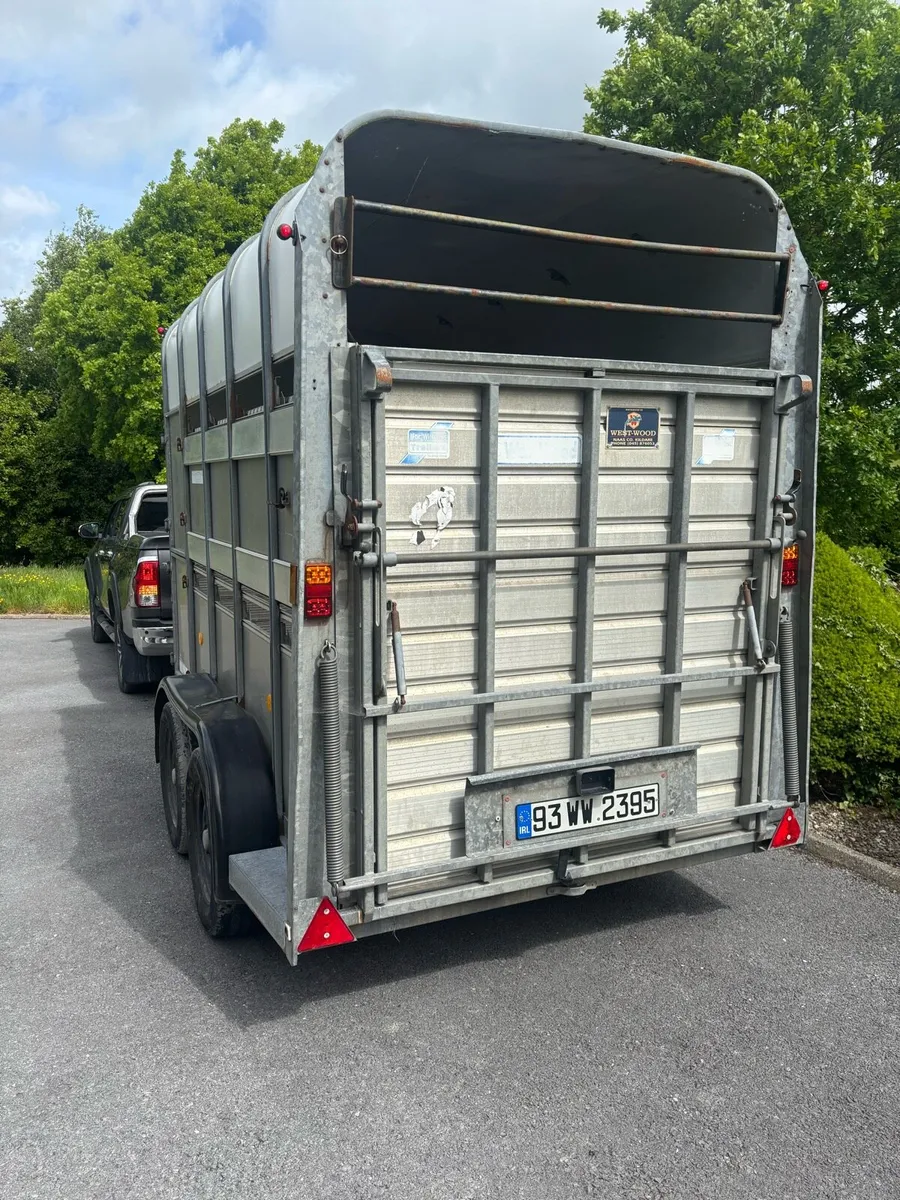10x5x7 Ifor williams Cattle/horse/sheep box - Image 2