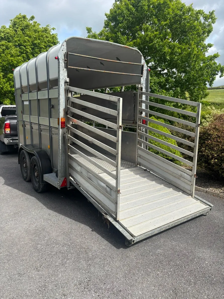 10x5x7 Ifor williams Cattle/horse/sheep box - Image 3