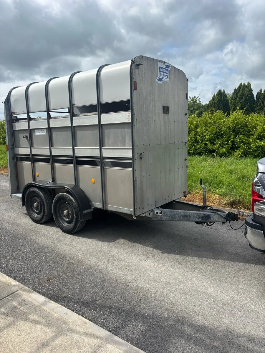 10x5x7 Ifor williams Cattle/horse/sheep box - Image 1