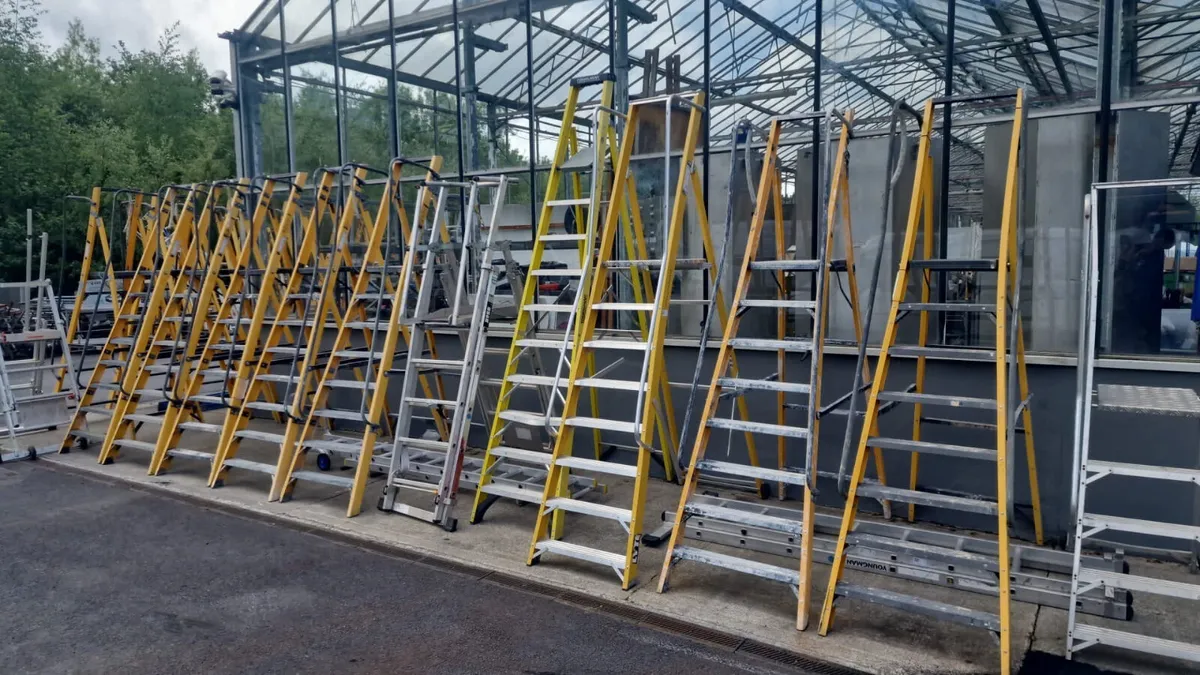 Over 40 Ladders For Auction - Image 1