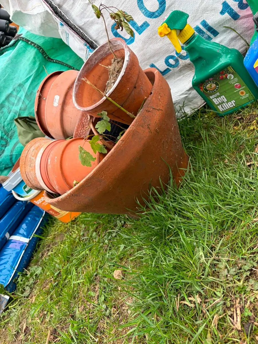 Ceramic pots bundle €30 - Image 2