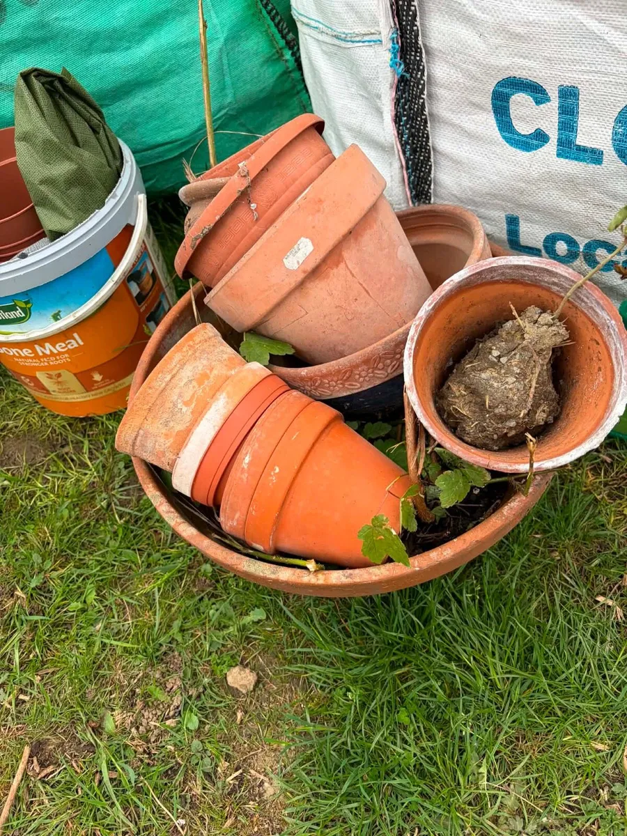 Ceramic pots bundle €30 - Image 1
