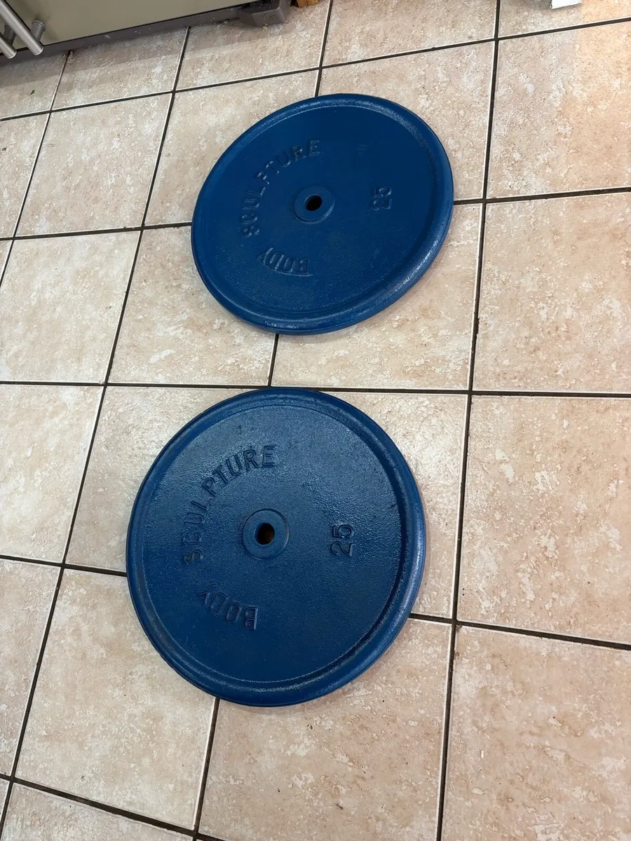 METAL GYM WEIGHT PLATES, 2 X 25KG PLATES.