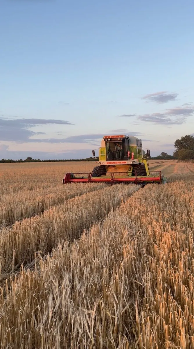 Claas Dominator 118sl - Image 1