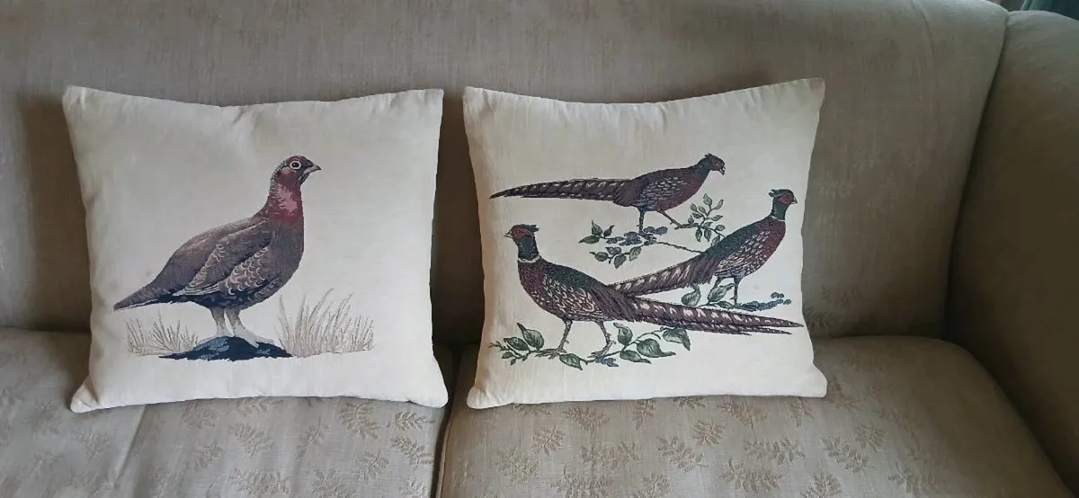 Cushions Pair - Image 2