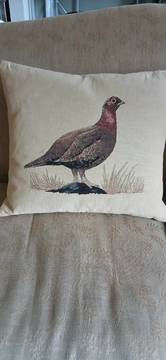 Cushions Pair - Image 3