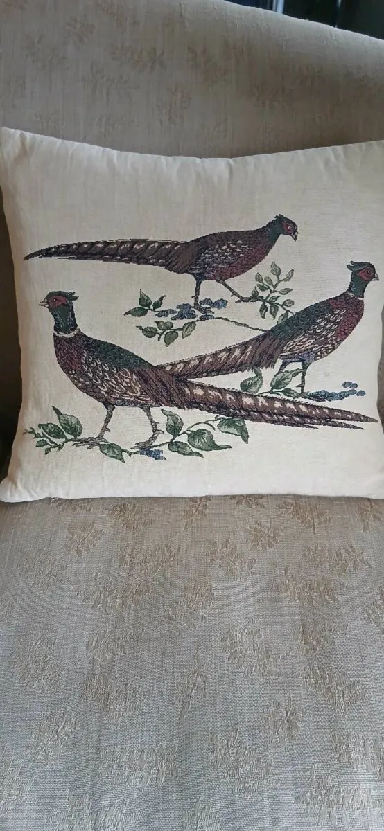 Cushions Pair - Image 4